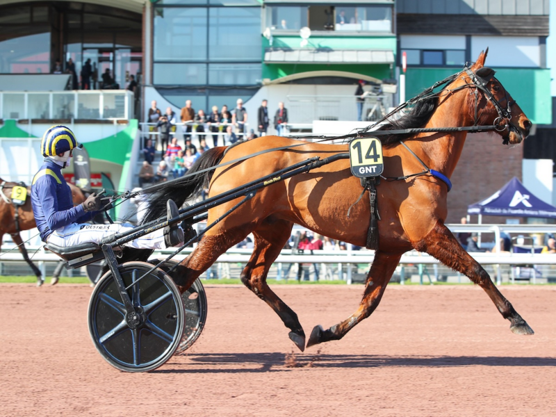 Quinté+ du 10 octobre 2026 à Caen - Pronostics du Prix De La Ville De Caen