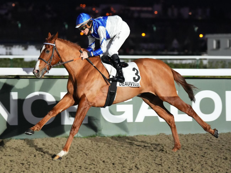 Quinté+ du 13 octobre 2026 à Longchamp - Pronostics du Prix De La Galerie Des Varietes