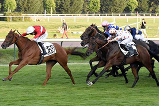 Illustration d’archive JDT, sans lien avec le cheval nommé